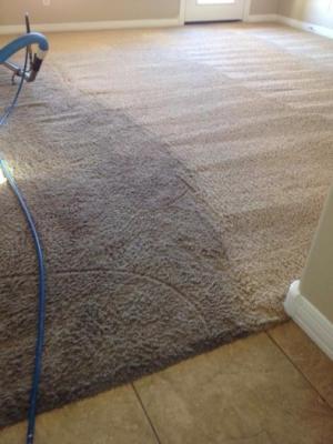 Superior's Top Carpet Cleaners | Residential & Commercial Services